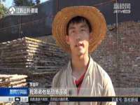 成都梅寒香商贸有限公司