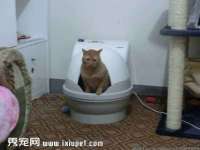 成都梅寒香商贸有限公司