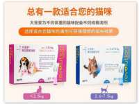 成都梅寒香商贸有限公司