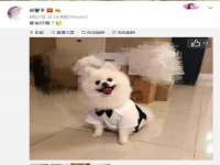 成都梅寒香商贸有限公司