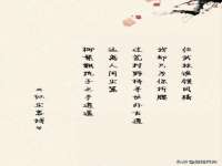成都梅寒香商贸有限公司